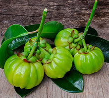 Load image into Gallery viewer, Sea Buckthorn Berry   Scientists in an Australian study believe that Omega-7 (Palmitoleic Acid), the rare essential fatty acid abundant in Sea Buckthorn Oil, and other naturally occurring nutrients signal the brain to not store excess fat from meals. Sea Buckthorn Berries contain Omega-3, -6, -9, and the rare Omega-7, and also very high levels of Vitamins A, E, and C, strong anti-oxidants, anti-inflammatory properties, and totals out with over 190 bioactive nutrients