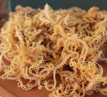 Load image into Gallery viewer, Irish Sea Moss   Rich in nutrients & minerals to stimulate the metabolism and support the immune system. Studies indicate that sea moss may help reduce body fat by lowering dietary fat absorption, reducing the creation of fat cells, increasing the breakdown of stored fat, and promoting the "fat-burning" effect of brown fat tissue.