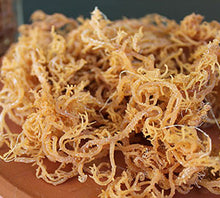 Load image into Gallery viewer, Irish Sea Moss   Rich in nutrients &amp; minerals to stimulate the metabolism and support the immune system. Studies indicate that sea moss may help reduce body fat by lowering dietary fat absorption, reducing the creation of fat cells, increasing the breakdown of stored fat, and promoting the &quot;fat-burning&quot; effect of brown fat tissue.
